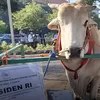 Istana Kabarkan Pembelian Hewan Qurban Presiden Prabowo Ternyata Pakai Dana APBN, Begini Penjelasan Hukumnya Menurut Islam