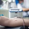 Berbagi Pesan Semangat! Intip Ucapan Hari Donor Darah Sedunia 2026, Share Langsung Mulai Sekarang