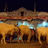 7 Fakta Kirab 1 Suro Keraton Surakarta, Tradisi Sambut Tahun Baru Jawa, Ada Kebo Bule yang Jadi Daya Tarik Tersendiri