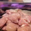 Harga Ayam Kembali Normal setelah Program MBG di Yogyakarta Tersendat