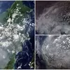 Kebakaran Hutan Makin Parah, Citra Satelit NASA Tampilkan Penampakan Pulau Kalimantan Dikepung Asap Tebal, Malaysia dan Singapura Ikut Terdampak