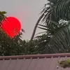 Bikin Merinding! Penampakan Matahari Merah Pekat di Palangka Raya, Benarkah Dampak dari Kebakaran Hutan di Kalimantan? Begini Penjelasan BMKG