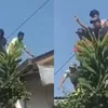 Kronologi Skandal Pemerkosaan terhadap Anak Kelas 4 SD di Cakung Jaktim, Bermula saat Ibu Korban Pulang