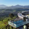 5 Kebun Teh Ini Wajib Masuk List Kunjungan Kalau Liburan ke Bandung, Salah Satunya jadi Spot Sunrise Terbaik