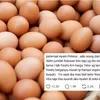Curhatan Peternak Ayam Petelur, Ungkap Ada Dapur MBG yang Ingin Beli Telur Hampir Expired Demi Harga Murah