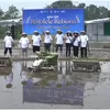 Dorong Kesejahteraan Petani, MPM Muhammadiyah Kembangkan Rojolele Reborn di Klaten