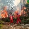6 Provinsi di Kalimantan dan Sumatera Jadi Prioritas Penanganan Karhutla, Operasi Darat Jadi Ujung Tombak
