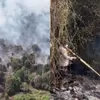 Telisik Kasus Karhutla yang Landa Riau, Picu Dugaan Kesengajaan Oknum untuk Buka Lahan Hortikultura