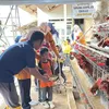 Kenalkan Program Pembinaan dan Ketahanan Pangan kepada Pelajar, Lapas Banjar Gelar Edu Explore