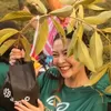 ANTAM dan KLH Tanam 5.000 Mangrove Tekan Karbon di Hari Mangrove Sedunia 2026