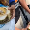 Atasi Fenomena Bangkalan Durian, Parigi Moutong Siapkan Pupuk Berpaten