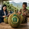 Peran Bappelitbangda Parigi Moutong Lindungi Durian Lokal Lewat Indikasi Geografis