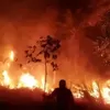 BMKG Peringatkan Potensi Karhutla di 13 Daerah Sulawesi Tengah, Buol Paling Rawan