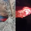 Batu Bara Aktif Bawah Tanah Pemicu Kebakaran Lahan di Tarakan Timur