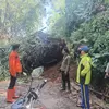 Hujan Deras Sebabkan Longsor dan Pohon Tumbang di Sukabumi, Akses Jalan Terganggu