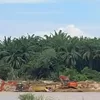 Diminta Jajaran  Polres Rokan Hulu Tangkap Pemilik Tambang Galian C Beroperasi Diduga Ilegal Di Daerah Aliran Sungai