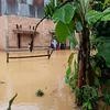 Teka-Teki Dana Triliunan Pascabencana, Mengapa Padangsidimpuan Masih "Mati Suri" Saat Tapsel Mulai Bersemi?