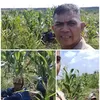 Ketahanan Pangan Jadi Prioritas, Bhabinkamtinmas Polsek Tualang Aktif Dampingi Petani*