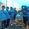 Jerit Tangis di Tanjung Sari: DPC PPWI Pesawaran Hadir Basuh Luka Korban Rumah Roboh