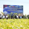 Kedaulatan Di Atas Tanah Ngudikan, Titik Balik Swasembada dari Jantung Nganjuk