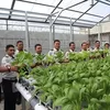Optimalkan Pembinaan Kemandirian, Lapas Muara Teweh Gelar Panen Raya Pakcoy dan Selada Hidroponik