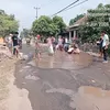 Jalan Provinsi Berubah Jadi Kolam Lele, Warga Way Khilau Tuntut Gubernur Buka Mata!