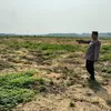 Pengecekan Lahan PT SIR untuk Penanaman Jagung Kuartal II Tahun 2026, Wujud Dukungan Ketahanan Pangan di Kecamatan Tualang
