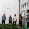 Hijaukan Brandgang Tumbuhkan Harapan, Kalapas Gunungsitoli Dorong Ketahanan Pangan dan Kemandirian Warga Binaan
