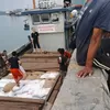 Publik Tantang Bea Cukai Batam Serbu Gurita Rokok Ilegal dan Pelabuhan Jalur Tikus!