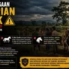 Teror Pencurian Ternak Hantui Praibakul: Dari Sapi Tinggal Kepala Hingga Kuda Lenyap!