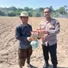 Kapolsek Tualang Serahkan Bibit Jagung Pipil, Dukung Swasembada Pangan di Lahan Ponpes Abu Huroiroh