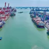 Kinerja Tiga Terminal Makin Solid, TTL Bukukan 1,75 Juta TEUs hingga Juli 2026