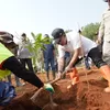 Hijaukan Subang, Pemprov Jabar Sulap 32 Hektare Kebun Jalupang Jadi Produktif