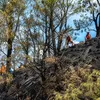 Polda Jatim Perketat Patroli Karhutla, Wilayah Hutan hingga Perkebunan Jadi Sasaran Pengawasan