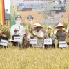 Kepemimpinan Anton–Poti Bukti Komitmen Ketahanan Pangan Rokan Hulu Bersama Petani 