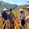Si Semar Beraksi: Langkah Dramatis Imigrasi Semarang Berantas TPPO Lewat Panen Jagung