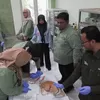Puluhan petugas gabungan menyisir satu per satu kamar hunian narapidana di Lapas Kelas I Surabaya 