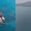 Fenomena 'Cucu Krakatau' Muncul di Selat Sunda, Ahli Ungkap Fakta Geologisnya