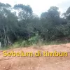 Diduga Hancurkan Kawasan Hutan Lindung di Batam, Polhut Temukan Pelanggaran Berat Pengembang