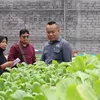 Yona Suntik Rp10 Juta untuk Hidroponik Sri Rejeki Jitu Karang Pilang, Dorong Kampung Mandiri Pangan