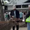 Viral Turis WNI Diduga Beri Plastik ke Rusa di Jepang, Pembuat Konten Minta Maaf