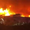 Kobaran Api Mengamuk di Kramat Pulo Senen, 50 Bangunan Rata Tembus Malam