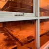 Imbas Kabut Asap Karhutla: Langit Palangka Raya Menguning Pekat dan Warga Kesusahan Bernapas