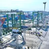 Arus Petikemas Meningkat, Terminal Teluk Lamong Capai 2,29 Juta TEUS Hingga September 2026