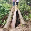 Puluhan Tahun Menanti, Warga Botolala Tagih Jalan Layak