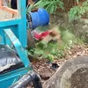 Kematian Sudarno Karyawan PTPN IV Kebun Rambutan Pembawa Limbah PKS Masih Menyimpan Misteri