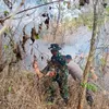 Petugas Gabungan Kembali Padamkan Kebakaran Hutan dan Lahan di Gunung Gajah