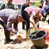 Pemkab Tapanuli Tengah Peringati Hari Jadi ke-81 Lewat Aksi Penghijauan dan Pemulihan Lahan Pascabencana di Kelurahan Sipange