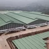 Dinas Pertanian & PUPR Garut 'Tumbal' atau Dalang? Pelapor Siapkan Ratusan Masa Datangi Polres Garut Dikasus Izin Lahan PT Pratama Abadi Industri