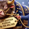 Sapi Kurban Prabowo dari APBN Jadi Perdebatan, Istana Pastikan Sapi Tak Ikut Rapat Kabinet